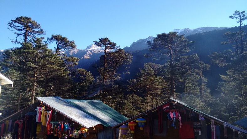 Yumthang Valley, Sikkim, North Sikkim, Himalayas